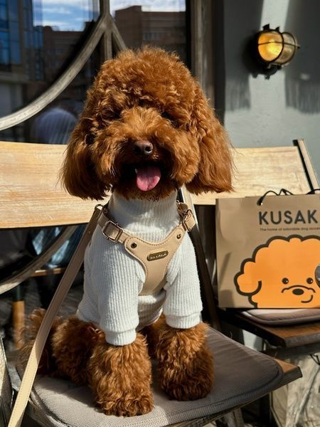 Шлейка KUSAKA - світло-бежевий CLAHABEXS фото